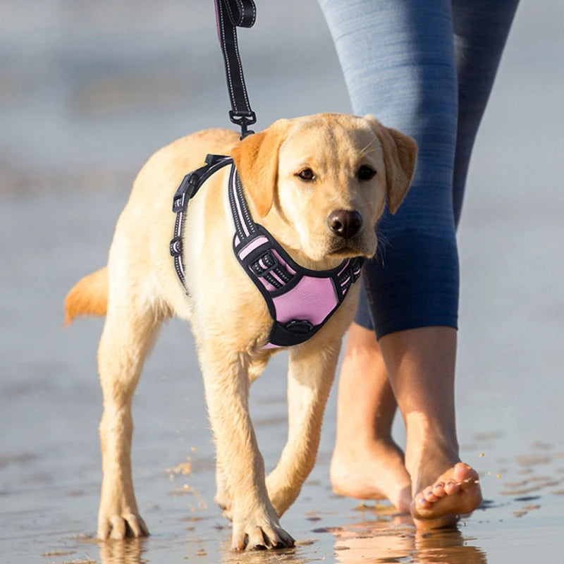 Harness Dog Chest Reflective Safety Adjustable Dog Training Collar Outdoor Sport No Pull Vest Pet Items