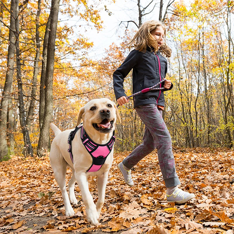 Harness Dog Chest Reflective Safety Adjustable Dog Training Collar Outdoor Sport No Pull Vest Pet Items