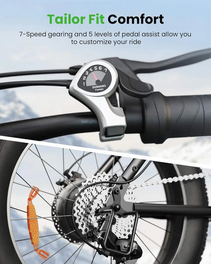 isinwheel M10 20"x4" Pro Electric Bike, 1000W Peak Motor, 22 MPH  Fat Tire Ebike for Adults, Teens & Women