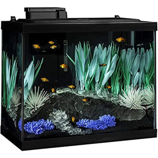 20 Gallon Aquarium Kit with LED Lighting and Decor for Vibrant Fish Display