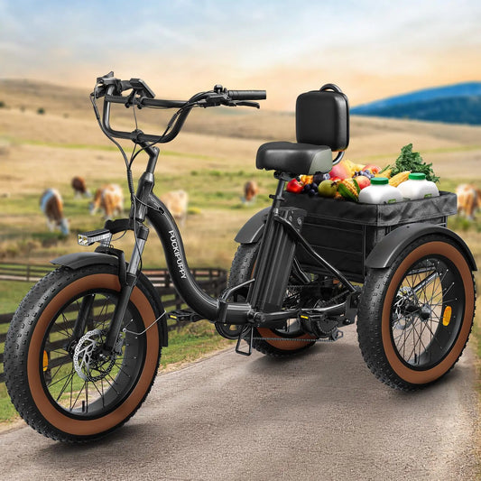 PUCKIPUPPY Electric Tricycle for Adults 20" Fat Tire 3 Wheel Electric Trike with 960W Rear Motor Cargo Tricycle Ebike