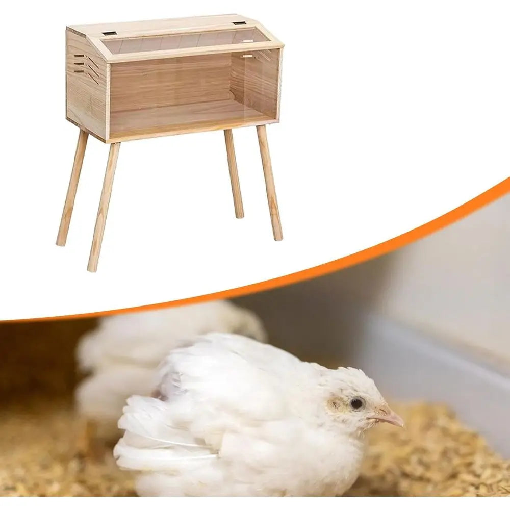 Chicken Brooder Box Small Chicken Coop Clear Acrylic Panels Breeding Box House for Quails Hamsters Birds Ducks Pet Supplies, 60