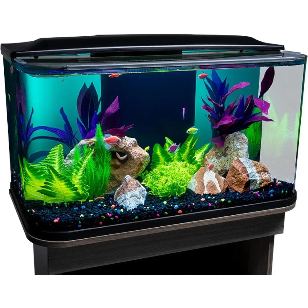 20 Gallon Glass Aquarium Kit with LED Lighting and Built in Filtration Ideal for Beginners and Experts Curved Seamless Design