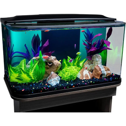 20 Gallon Glass Aquarium Kit with LED Lighting and Built in Filtration Ideal for Beginners and Experts Curved Seamless Design