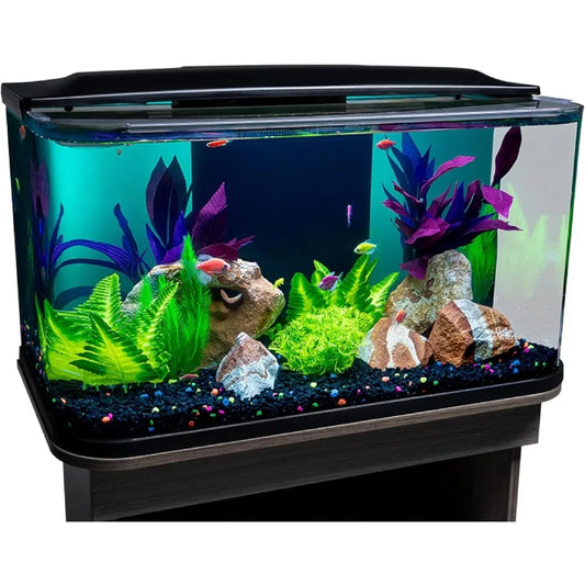 20 Gallon Glass Aquarium Kit with LED Lighting and Built in Filtration Ideal for Beginners and Experts Curved Seamless Design