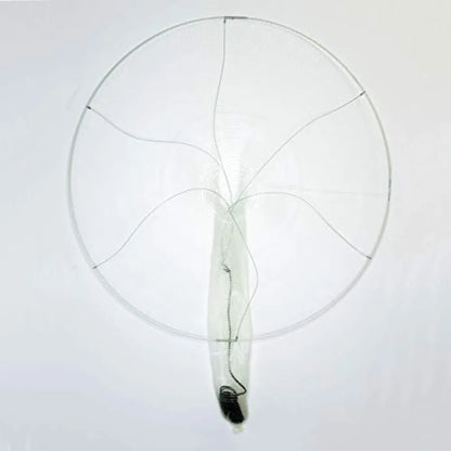 24 Collapsible Fishing Hoop Net for Live Bait Capture in Black with Durable Mesh Material and Easy Storage Design